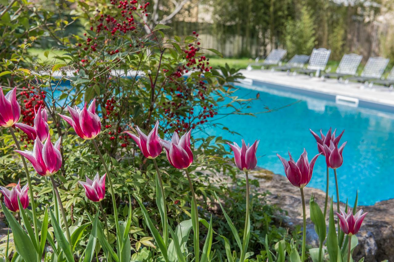Relais Corte Rodeschi Camaiore Eksteriør billede