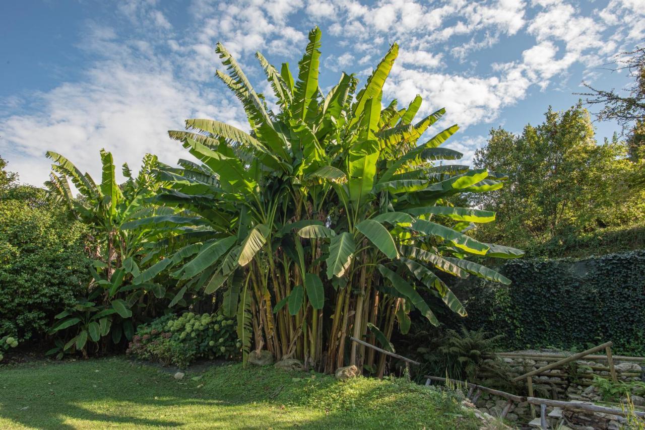 Relais Corte Rodeschi Camaiore Eksteriør billede