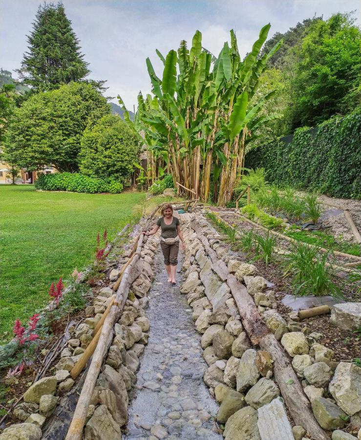 Relais Corte Rodeschi Camaiore Eksteriør billede